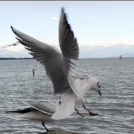 아파트 Michael U Christine 랑게나르겐